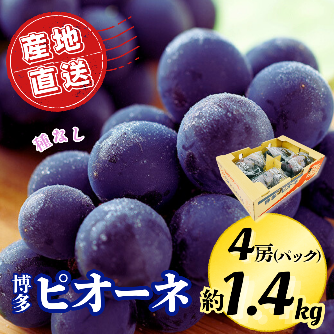 初物ピオーネ パリッとした食感の【博多ピオーネ】1.4kg（4パック入） | 農産物直売